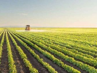 Toptepe Köyü 28.234m2 Müstakil Tarla